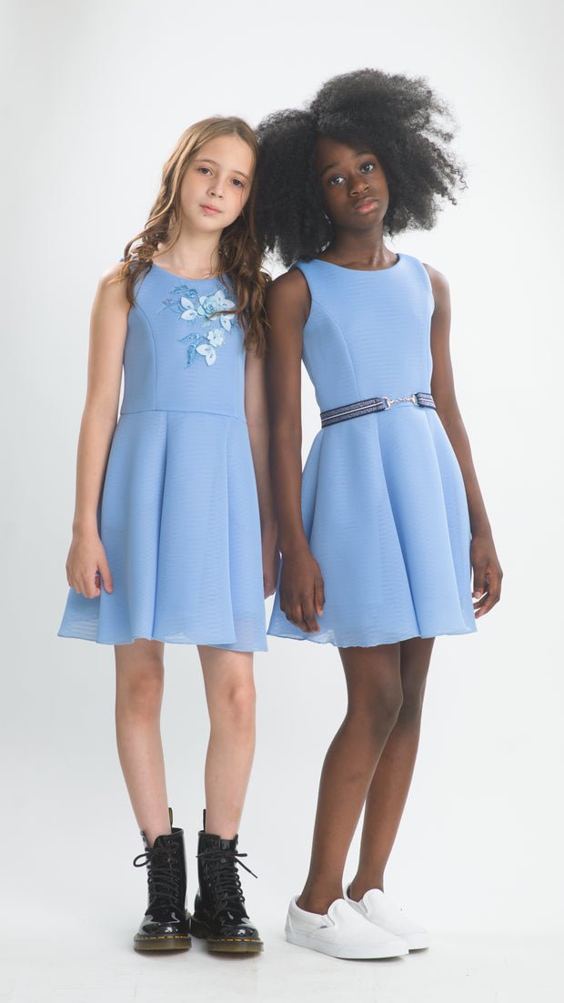 The Perfect Blue I Final Sale